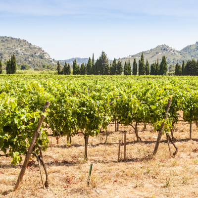 Coteaux d'Aix-en-Provence hos Den Sidste Flaske