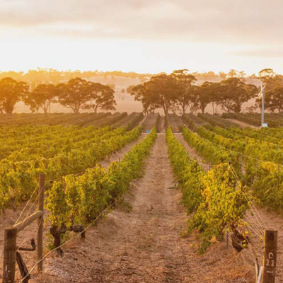 Eden Valley hos Den Sidste Flaske