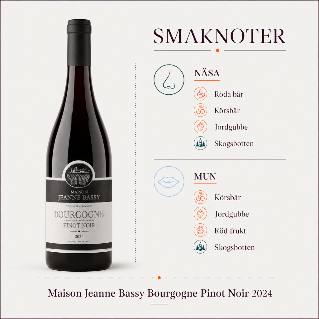 Maison Jeanne Bassy Bourgogne Pinot Noir 2024 – 4-producent