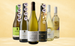 Chardonnayfavoriter
