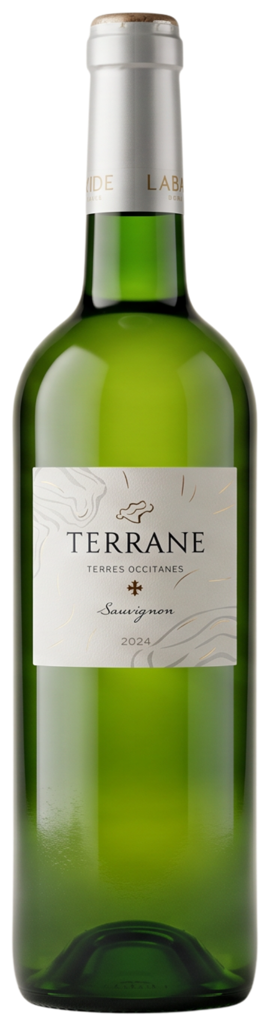 Terrane Sauvignon White Comte Tolosan 2024
