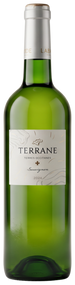 Terrane Sauvignon White Comte Tolosan 2024
