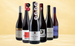 Pinot Noir favoriter
