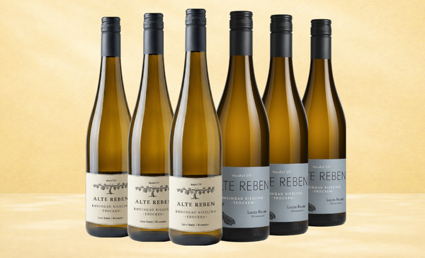 Weinhof 519 Alte Reben Lådan