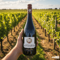 Aotearoa Rødvin Aotearoa Pinot Noir 2022