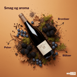 Den Sidste Flaske Rødvin Borie La Vitarele Les Schistes 2022