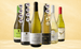 Chardonnayfavoriter