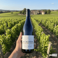 Claire Laroche Rødvin Claire Laroche Bourgogne Hautes Côtes de Beaune 2019