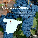 Pagos Del Rey Rødvin Condado de Oriza Crianza 2022