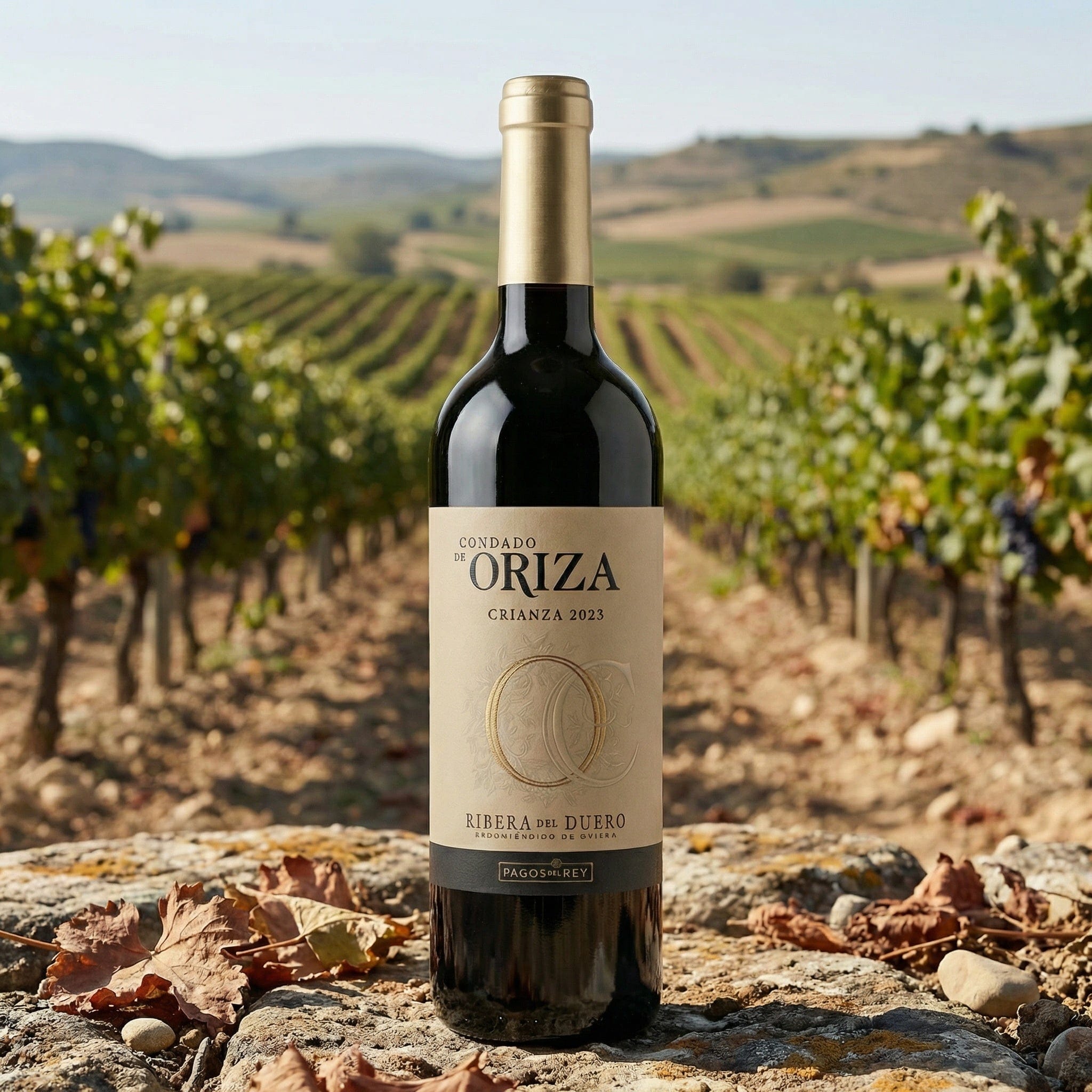 Pagos Del Rey Rødvin Condado de Oriza Crianza 2023
