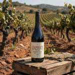 Adamante Tinto NV