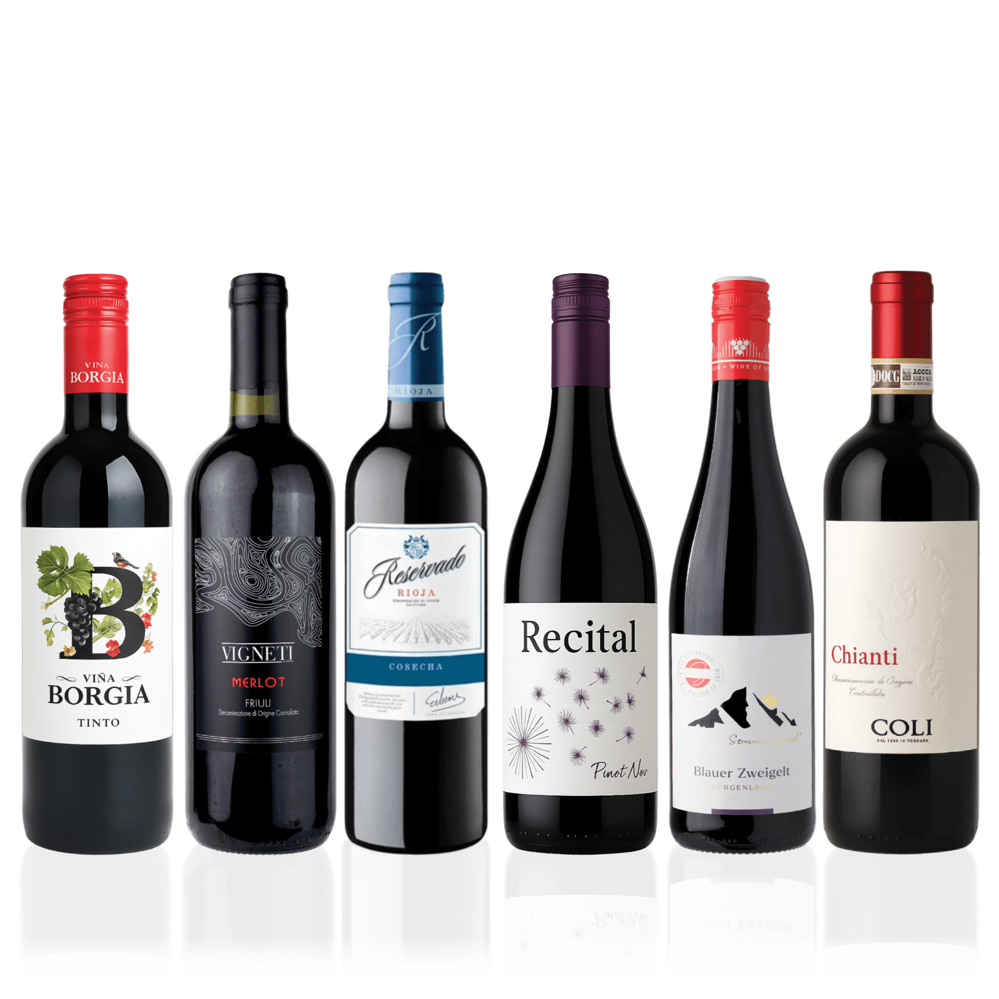 Den Sidste Flaske Smagekasse Rødvinsbaskeren DSF Basker