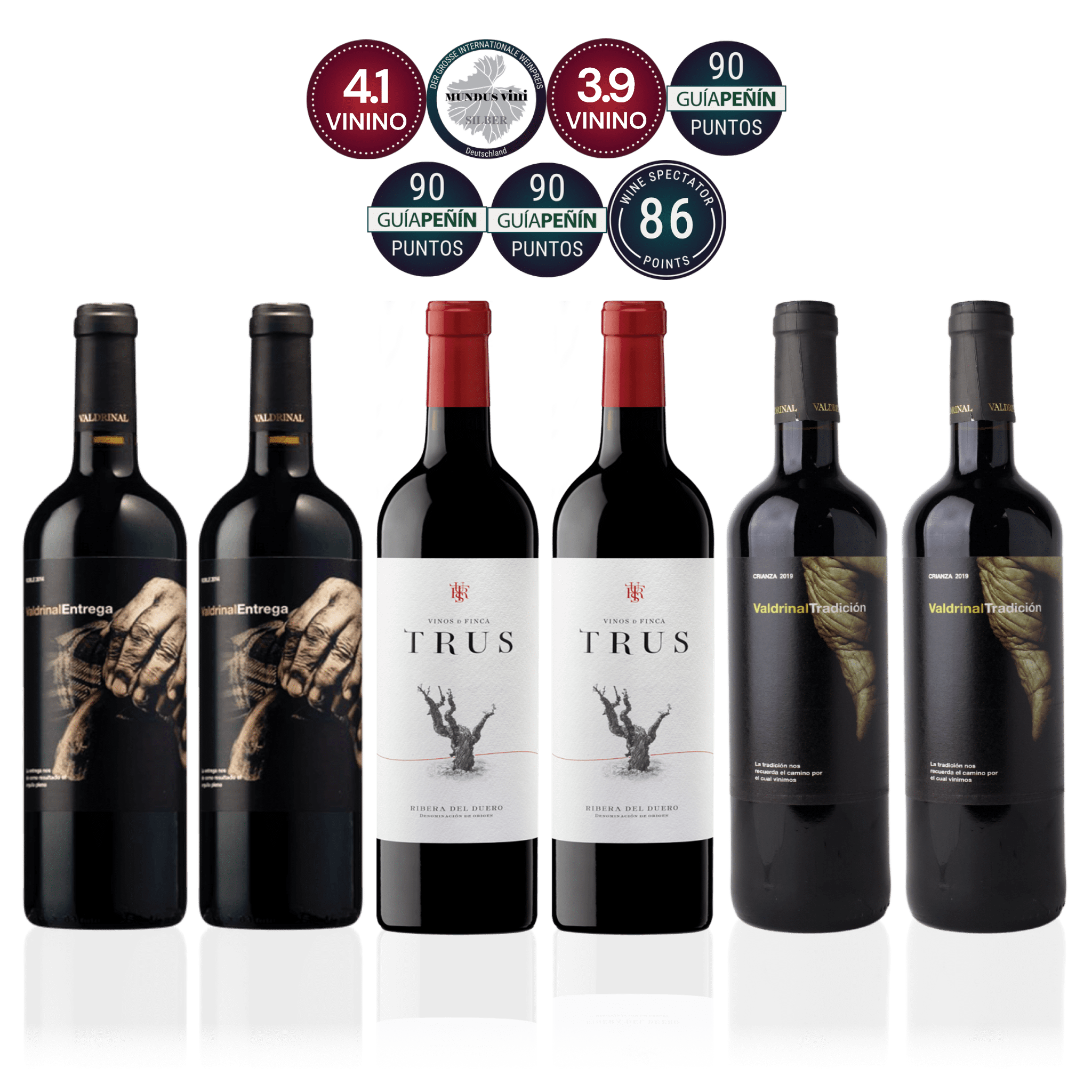 Den Sidste Flaske Smagekasse Ribera del Duero Kassen DSF Smagsrejse