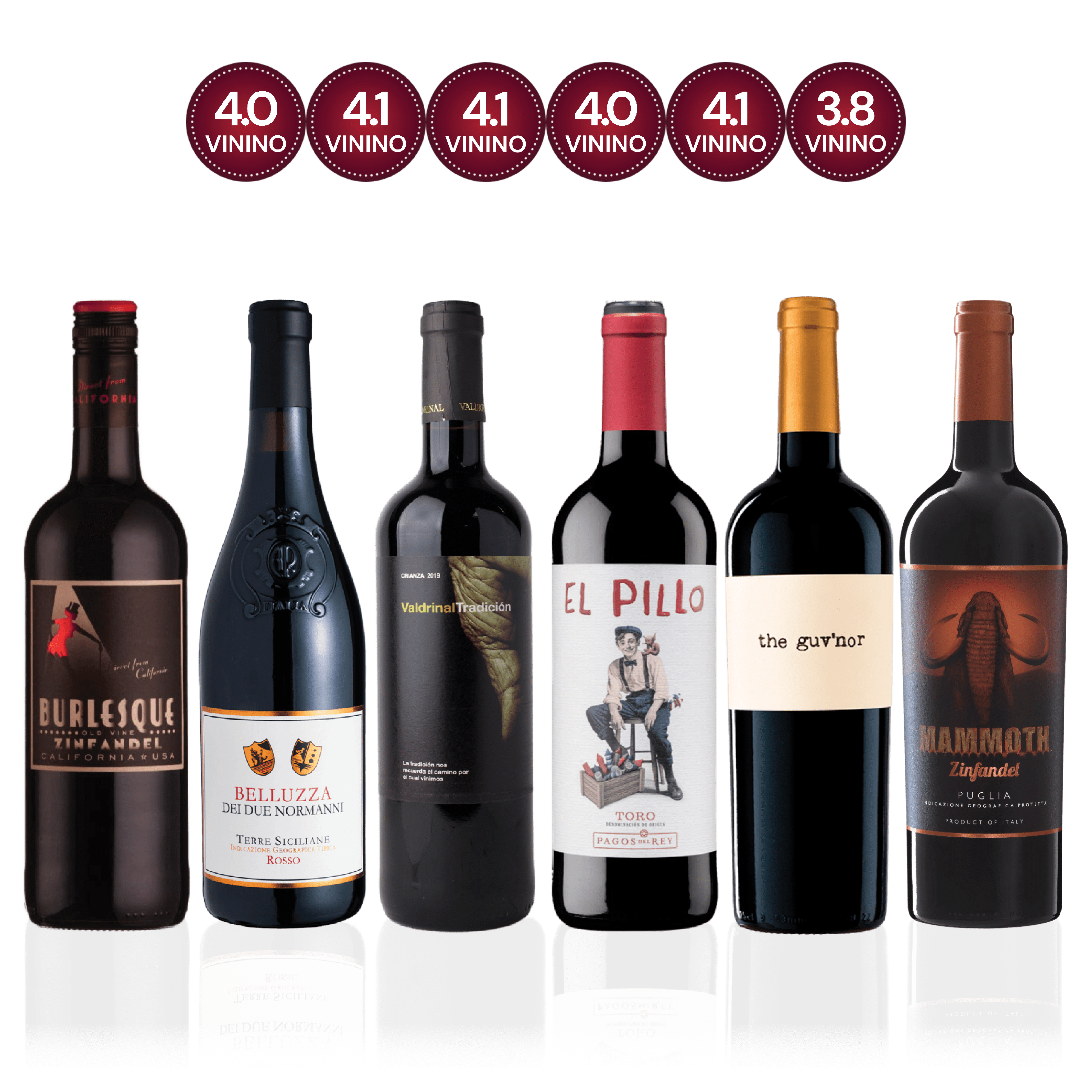 Den Sidste Flaske Smagekasse Rødvine DSF Vivino Hits