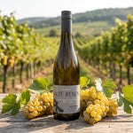 Weinhof 519 Hvidvin FORUDBESTILLING m/levering d. 30 Jan: Weinhof 519 Alte Reben Rheingau Riesling Trocken 2025