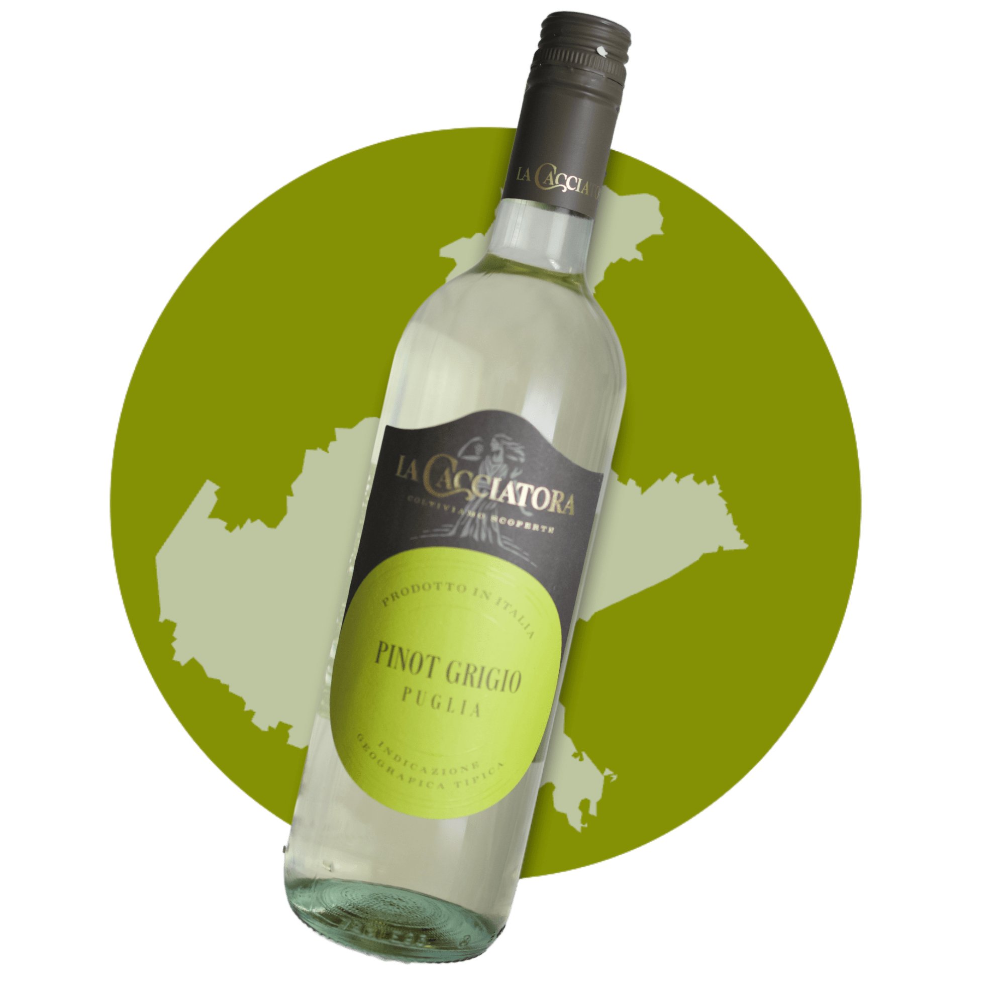 La Cacciatora Hvidvin La Cacciatora - Pinot Grigio 2024 (egen import + tekst)