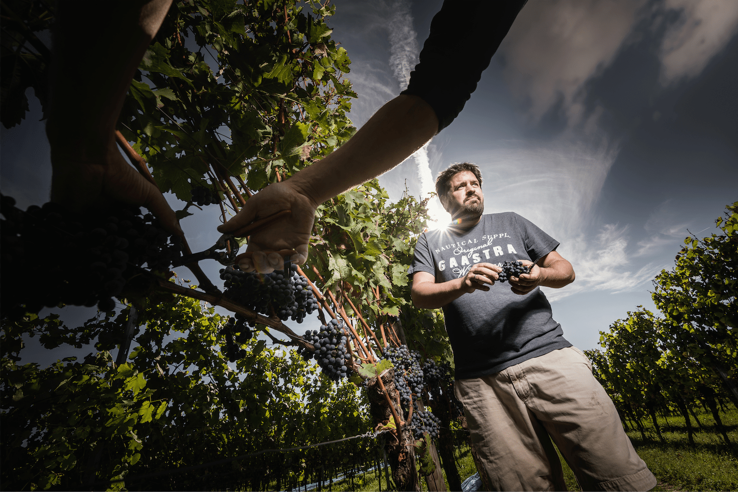 Den Sidste Flaske Smagekasse Lær Markus Schneider at kende