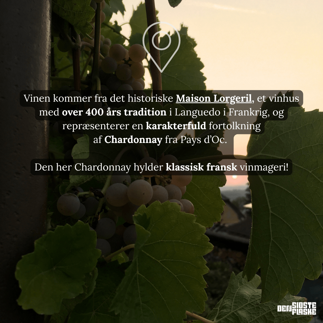 Famille de Lorgeril Hvidvin Lorgeril Les Terrasses Chardonnay IGP 2023