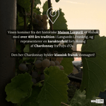 Famille de Lorgeril Hvidvin Lorgeril Les Terrasses Chardonnay IGP 2023