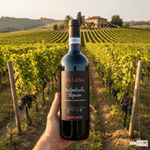 Nelle Nostre Rødvin Malana Valpolicella Ripasso Edizione Limitata