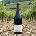 Marcel de Normont Rødvin Marcel de Normont Bourgogne Pinot Noir 2023