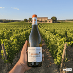 Famille de Lorgeril Hvidvin Orangeraie Chardonnay Viognier 2023 IGP