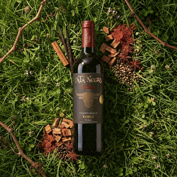 Pata Negra - Toro Tempranillo Roble 2023