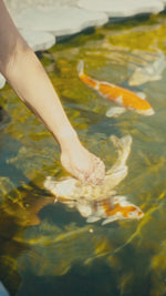 Domaine Lafage Cote Rose 2022