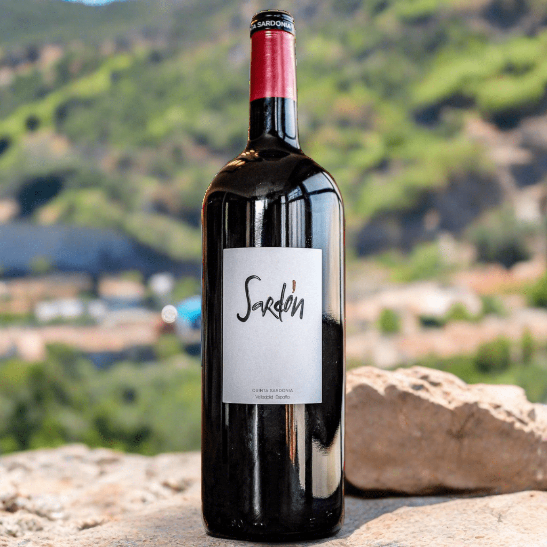 Den Sidste Flaske Quinta Sardonia Sardón de Duero 2020 Magnum