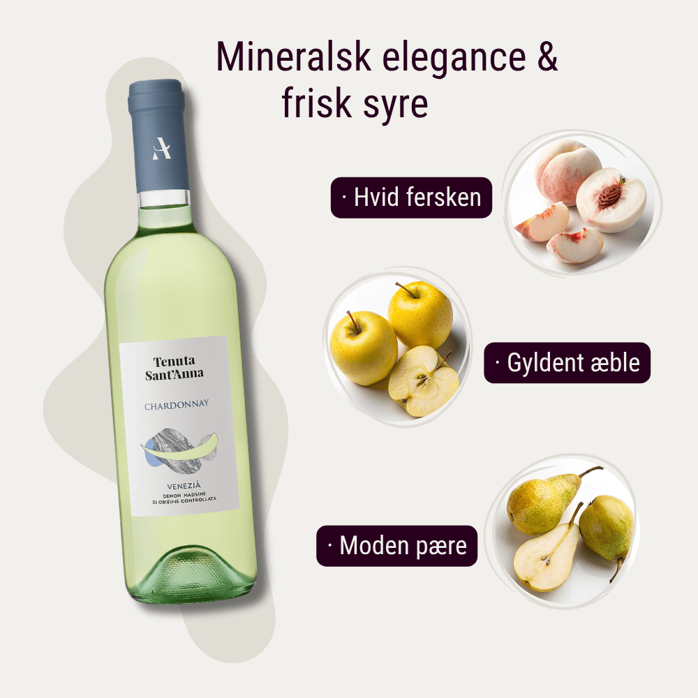 Tenuta sant'anna Hvidvin Sant Anna Chardonnay Venezia Magnum 2022
