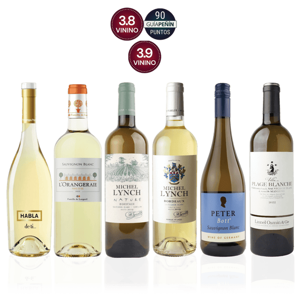 Den Sidste Flaske Hvidvins Smagekasse Sauvignon Blanc Kassen (6 fl.)