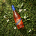 Spritz & Roll Mousserende Spritz & Roll Aperitivo Originale NV
