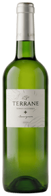 Cordier Hvidvin Terrane Sauvignon White Comte Tolosan 2024