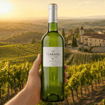 Terrane Sauvignon White Comte Tolosan 2024