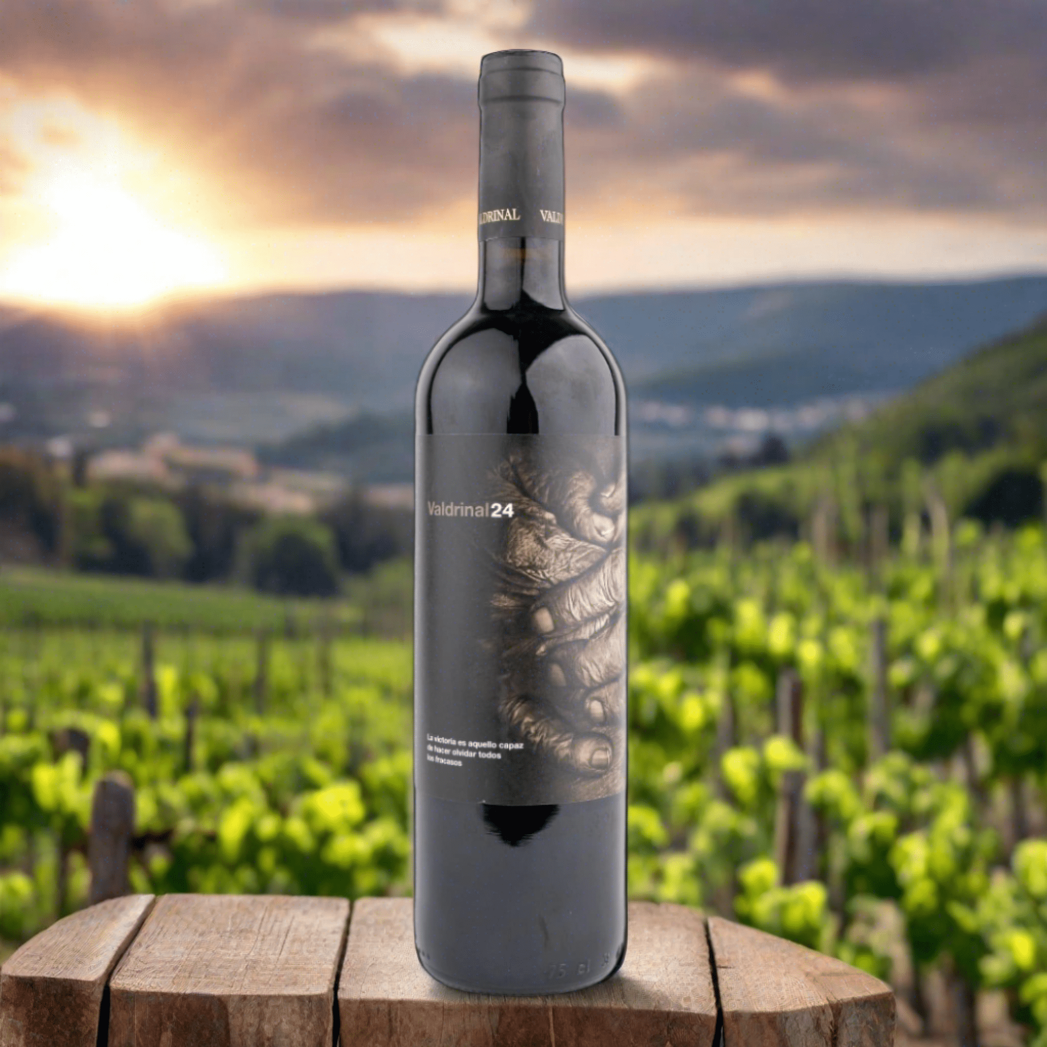 Bodegas Valdrinal Rødvin Valdrinal 24 Reserva 2018