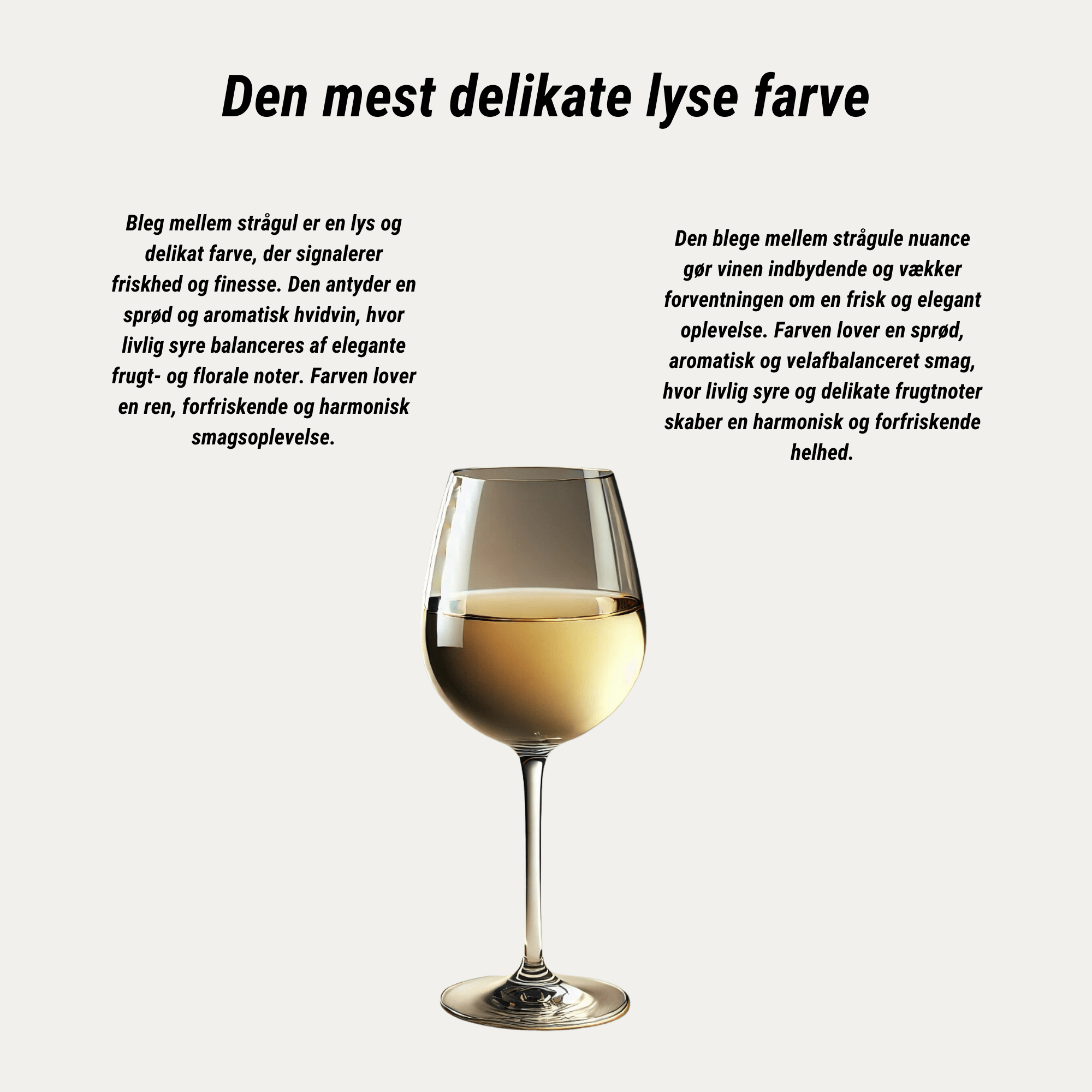 Weinhof 519 Hvidvin Weinhof 519 Alte Reben Rheingau Riesling Trocken 2023