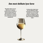 Weinhof 519 Hvidvin Weinhof 519 Alte Reben Rheingau Riesling Trocken 2023