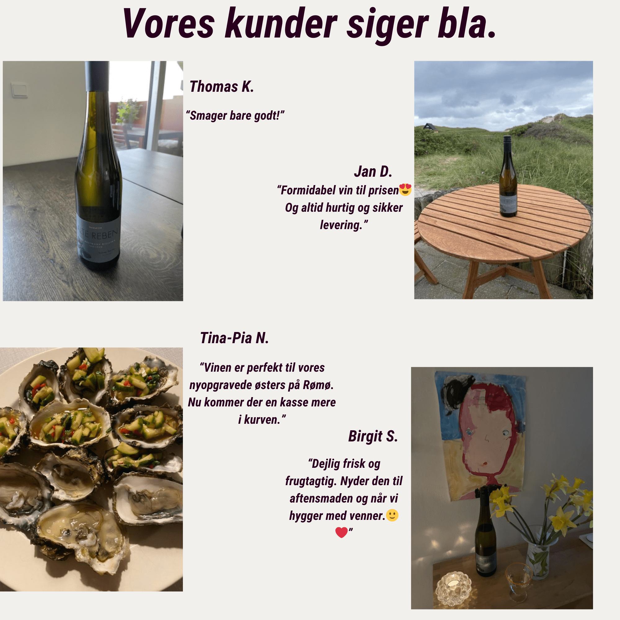 Weinhof 519 Hvidvin Weinhof 519 Alte Reben Rheingau Riesling Trocken 2023