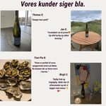 Weinhof 519 Hvidvin Weinhof 519 Alte Reben Rheingau Riesling Trocken 2023