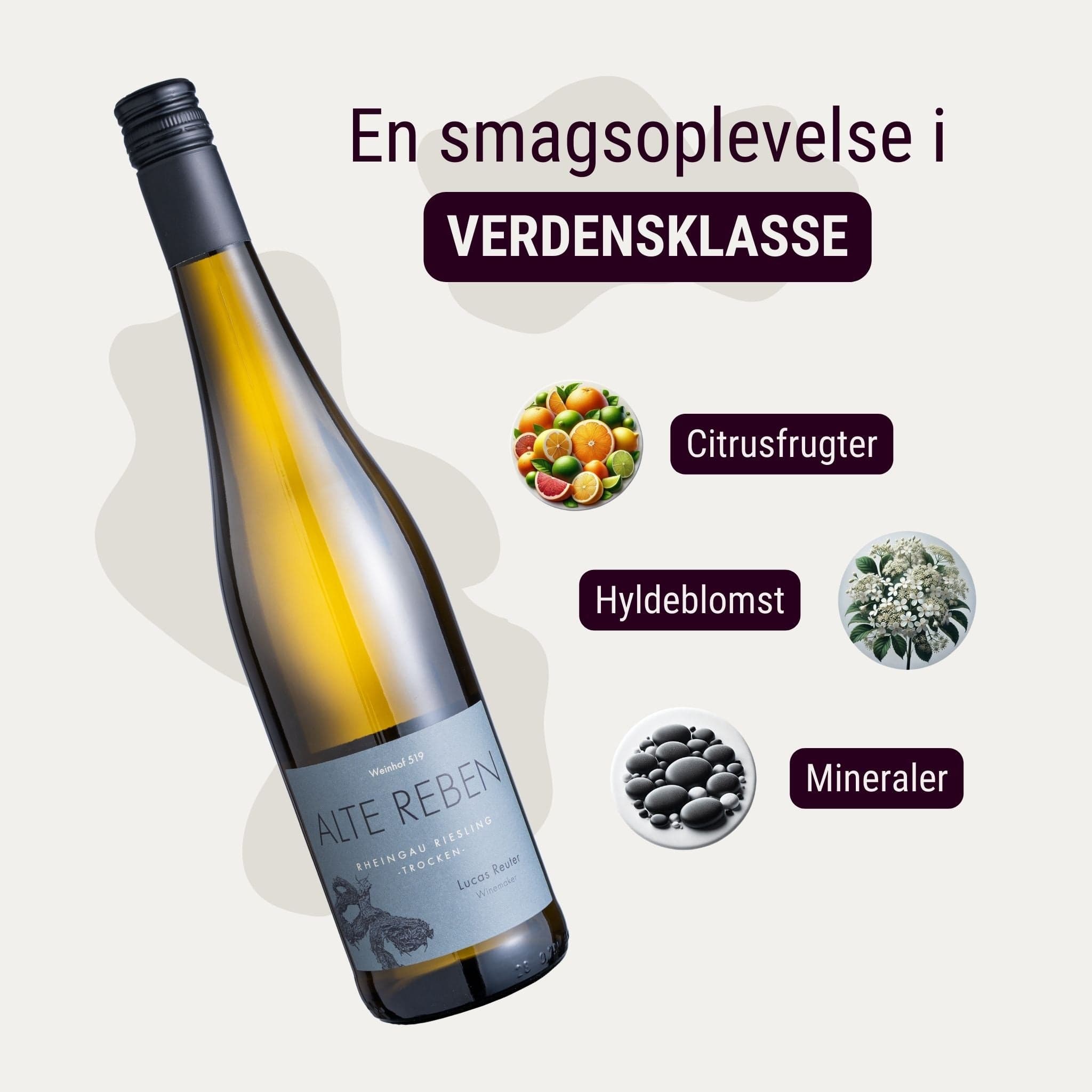 Weinhof 519 Hvidvin Weinhof 519 Alte Reben Rheingau Riesling Trocken 2024