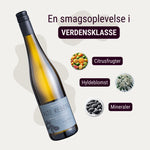 Weinhof 519 Hvidvin Weinhof 519 Alte Reben Rheingau Riesling Trocken 2024